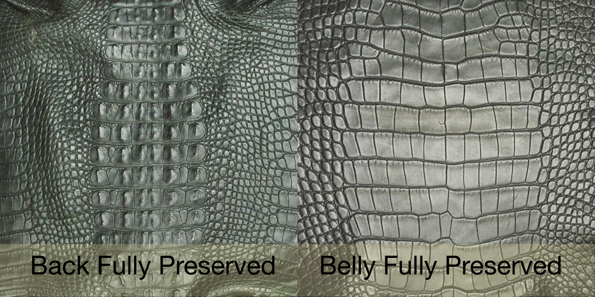 Alligator vs. Crocodile Leather: What's the Difference? - LeatherProfy